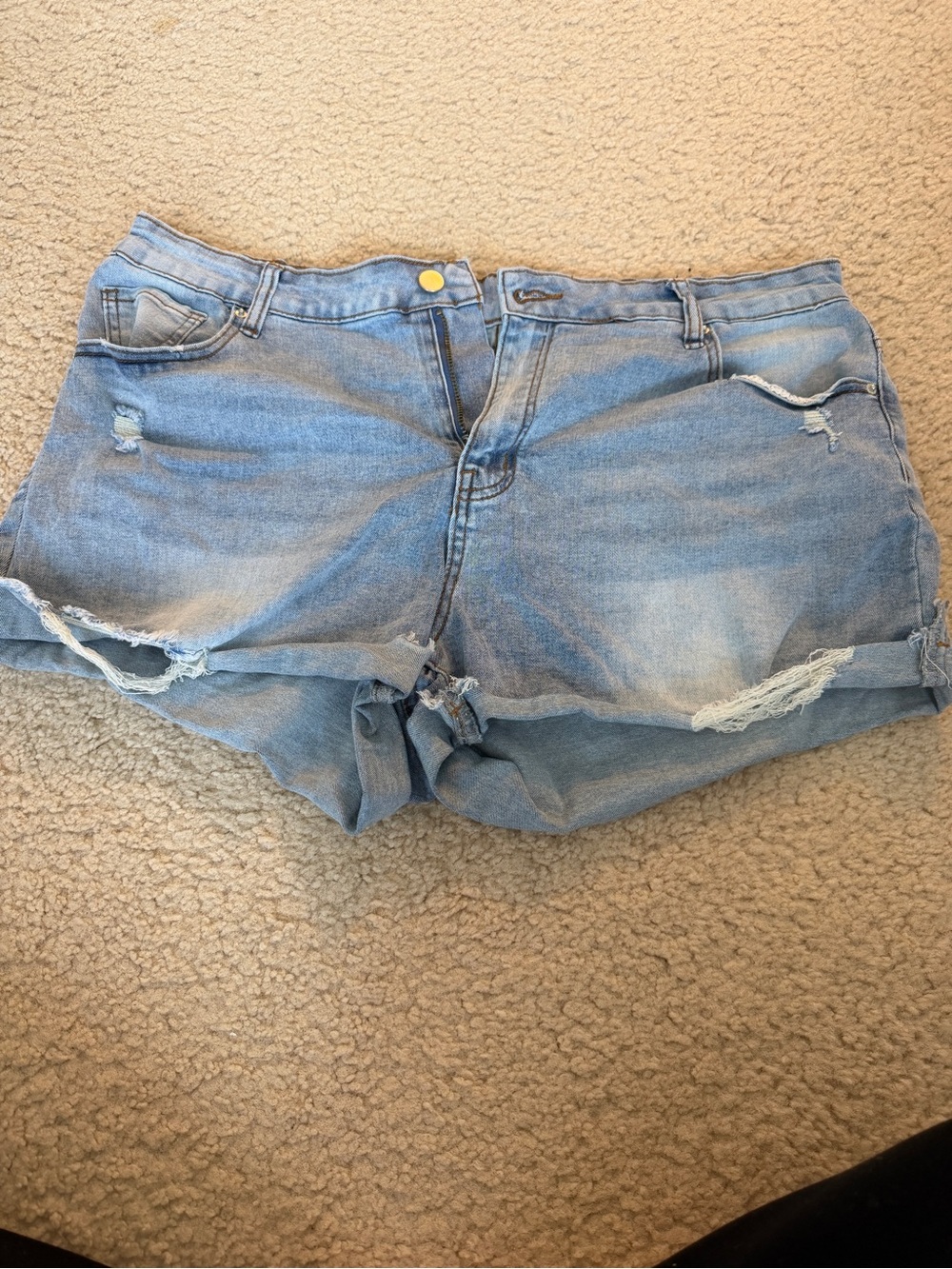Casual Distressed Light Blue Denim Shorts - Women